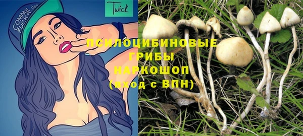 ECSTASY Вяземский