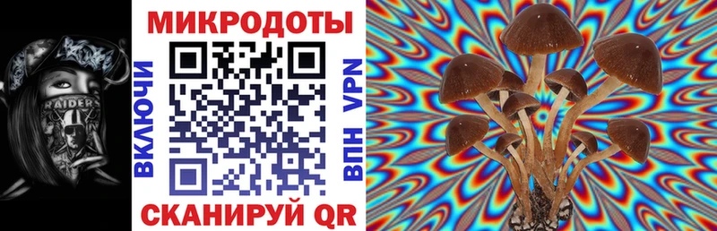 Галлюциногенные грибы Cubensis  Таганрог 